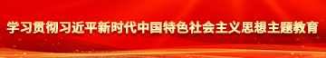 艹哦死你学习贯彻习近平新时代中国特色社会主义思想主题教育